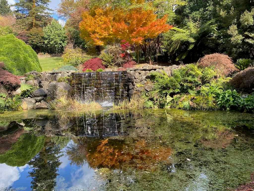 May 2023 Bathurst Mayfield Garden Tour Image -64605bc09a742